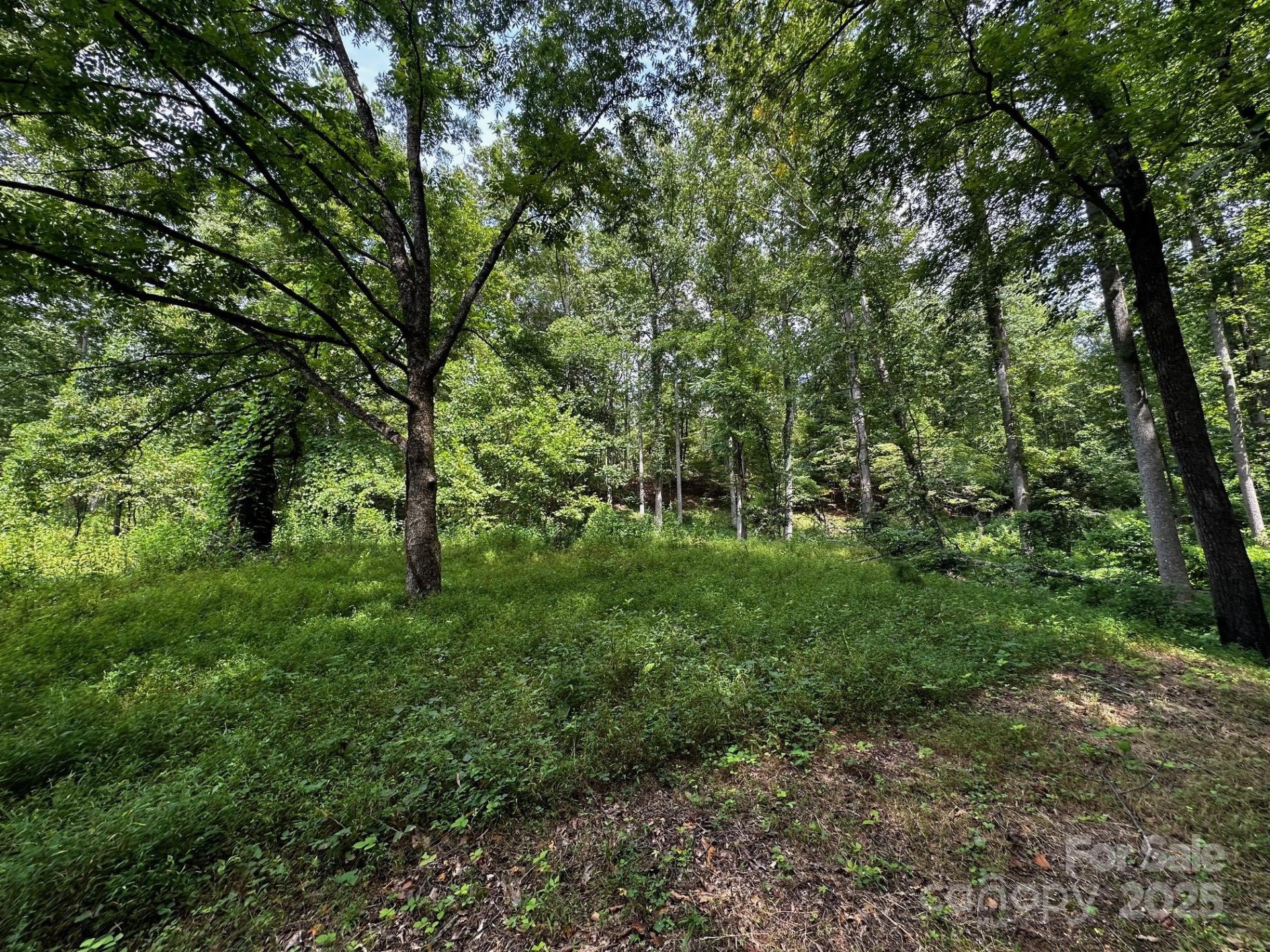 9999 Rock Ledge Drive - Photo 31