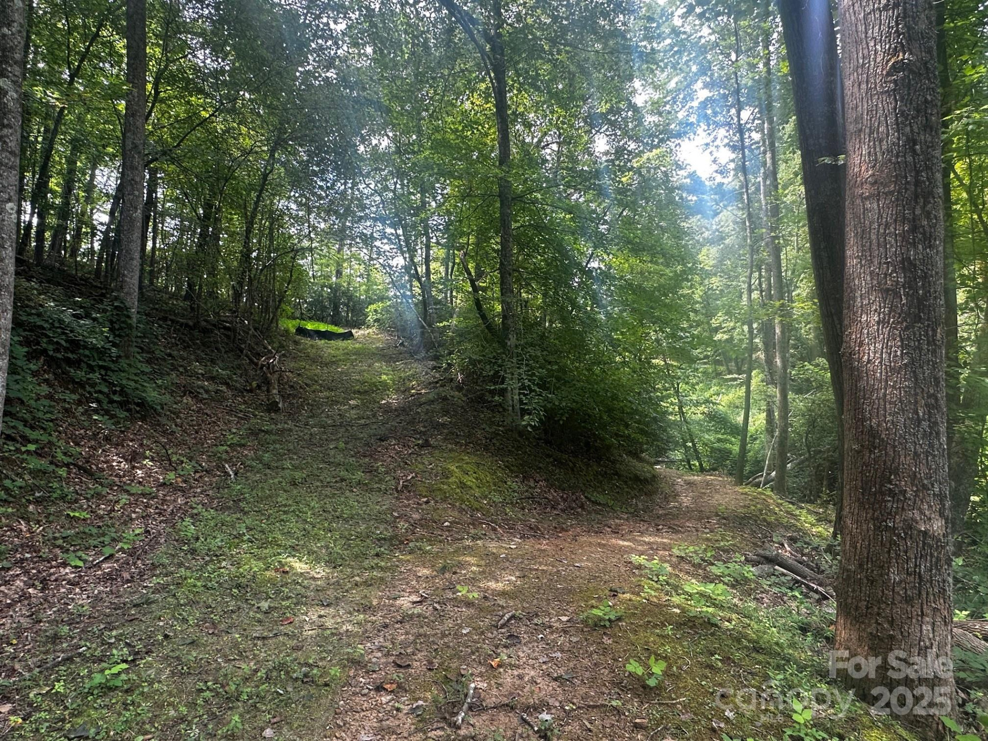 9999 Rock Ledge Drive - Photo 5