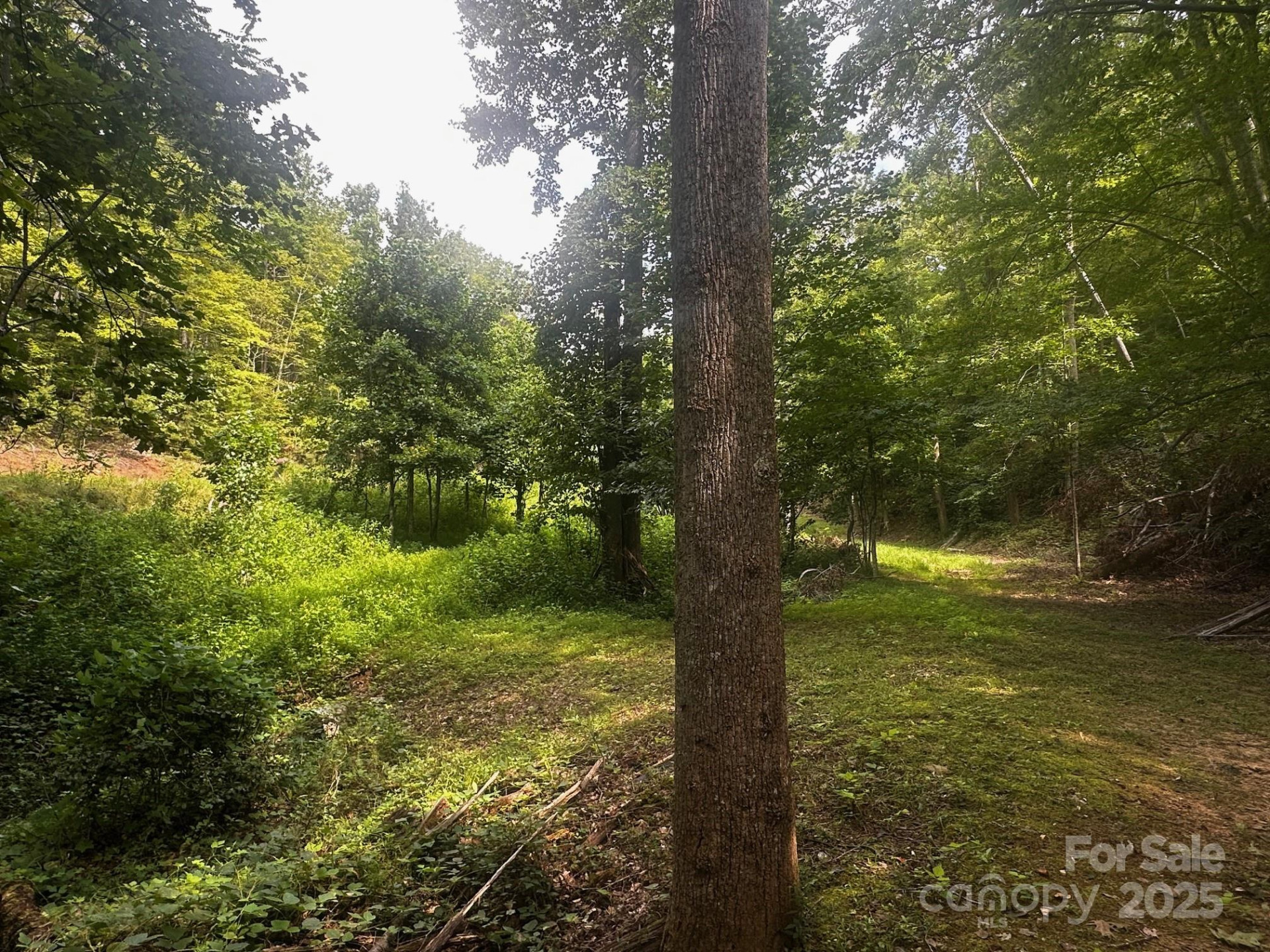 9999 Rock Ledge Drive - Photo 6