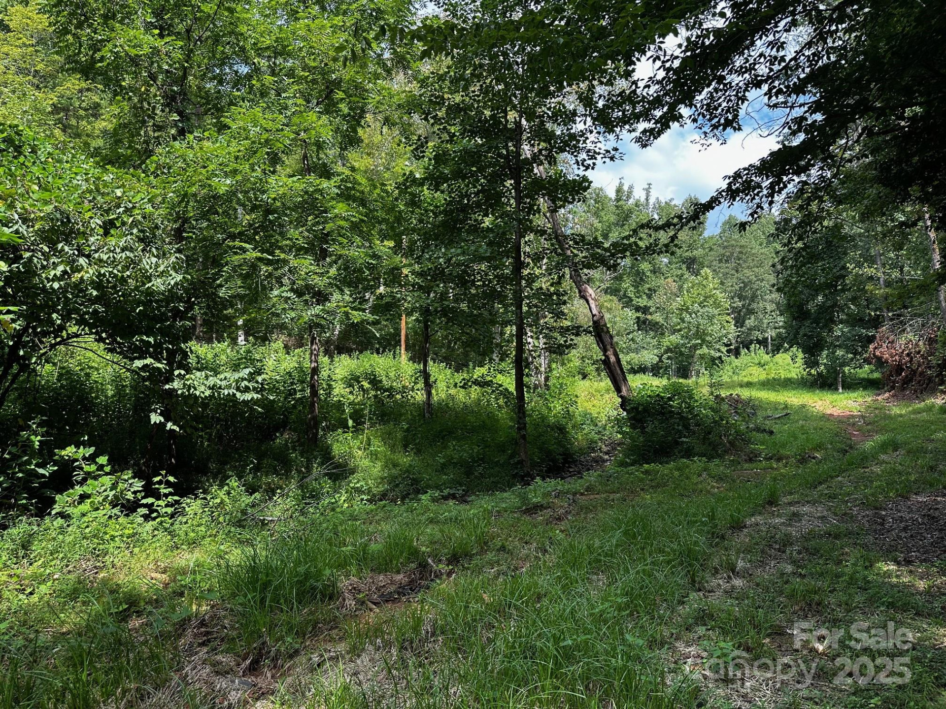 9999 Rock Ledge Drive - Photo 7