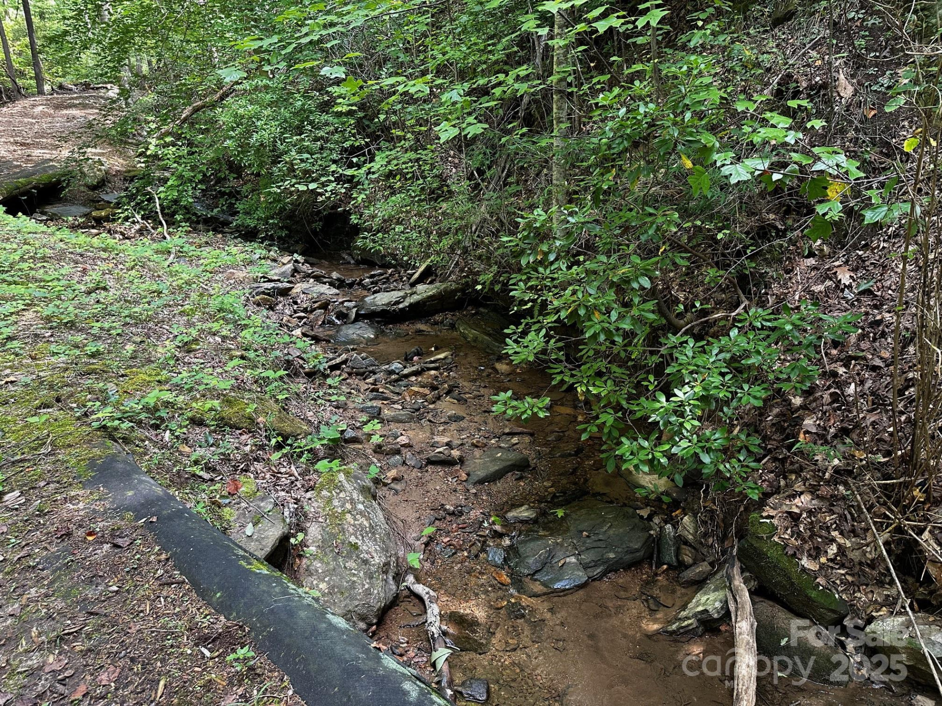 9999 Rock Ledge Drive - Photo 10