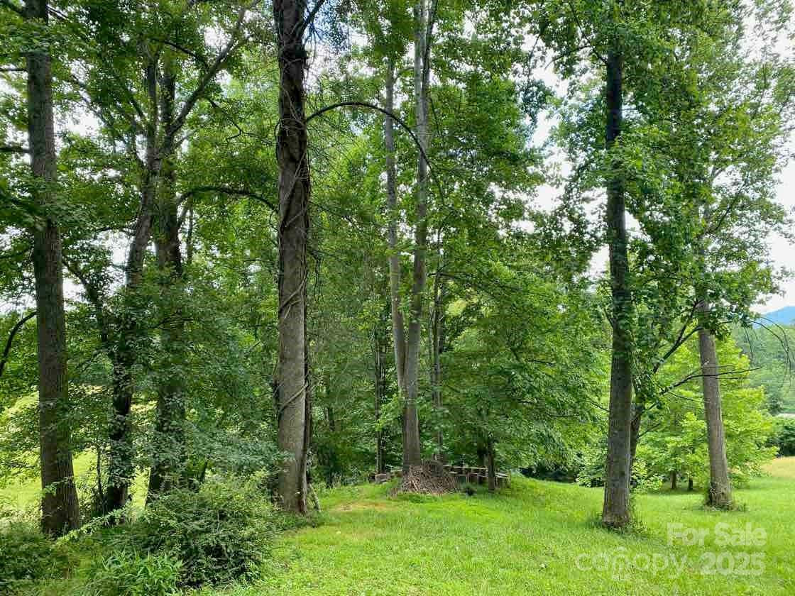 48 Sweet Fern Parkway #59 - Photo 6