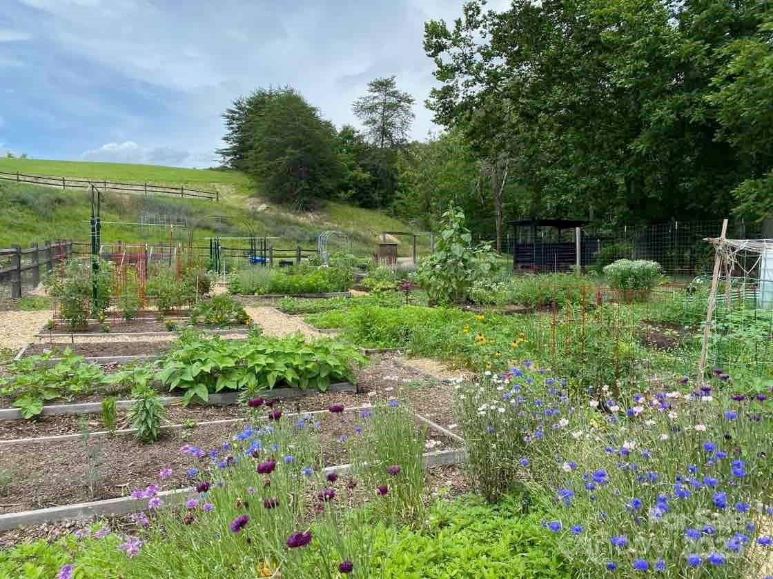 48 Sweet Fern Parkway #59 - Photo 10