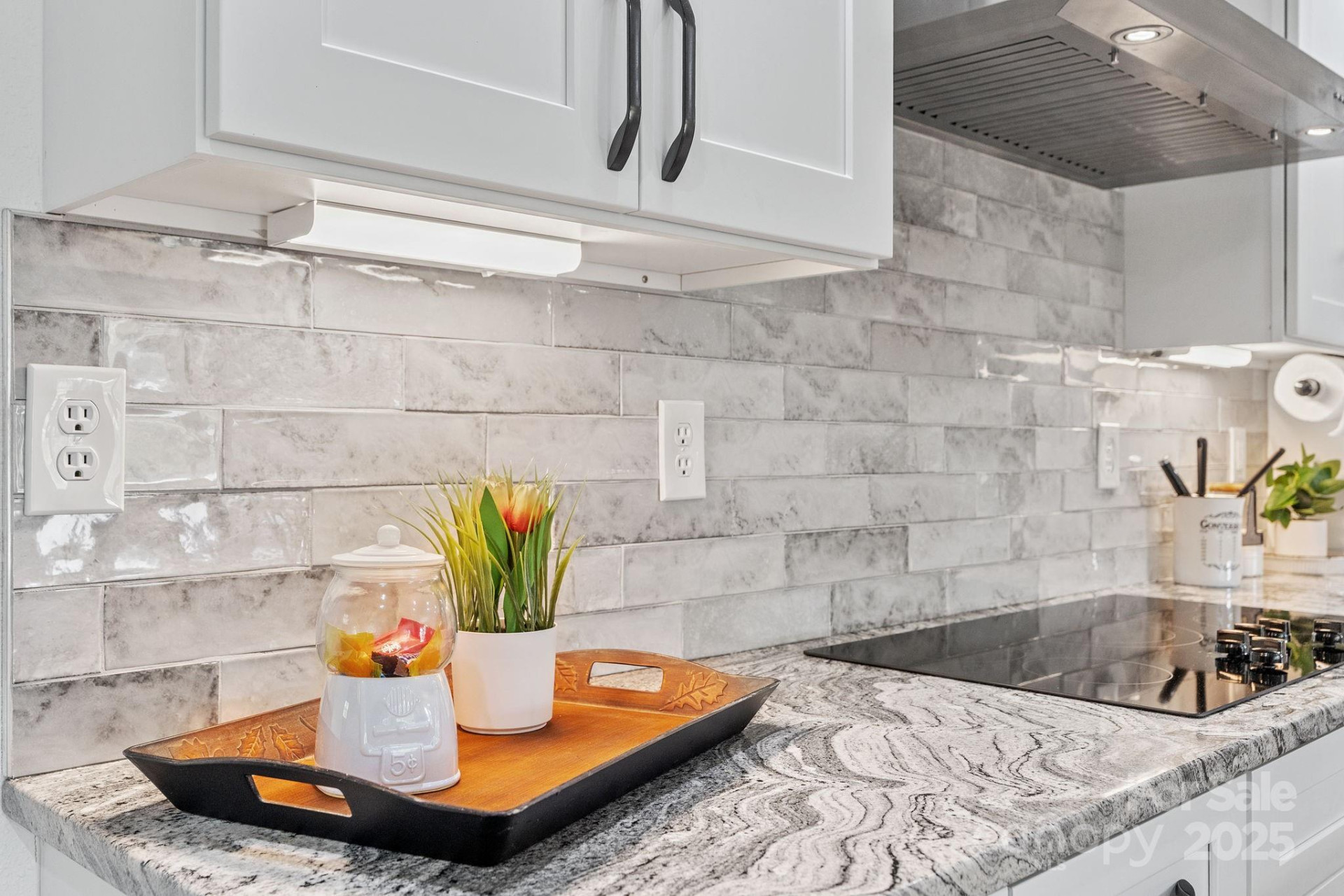 204 Mountain Spring Lane - Photo 15