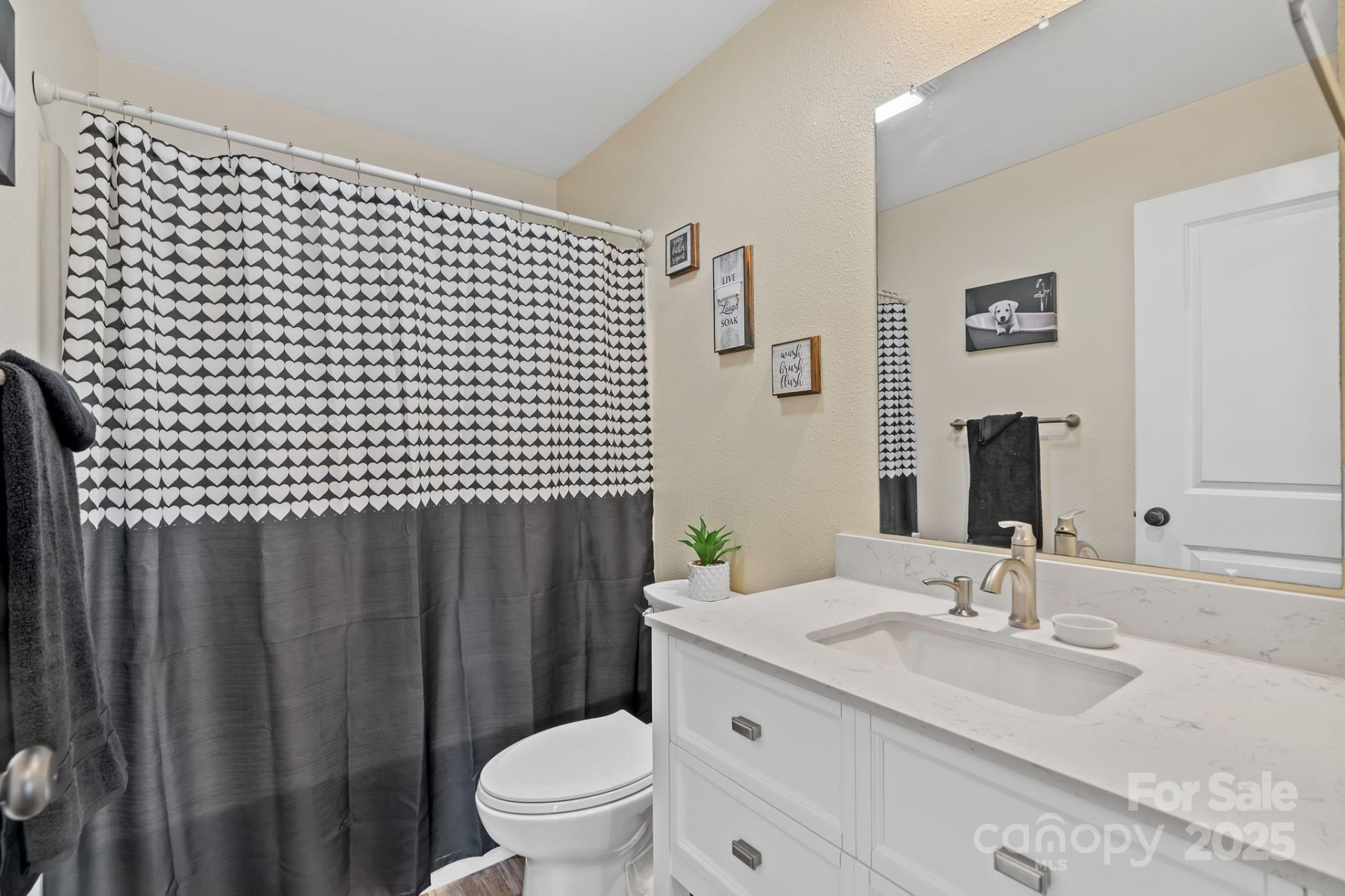 204 Mountain Spring Lane - Photo 29