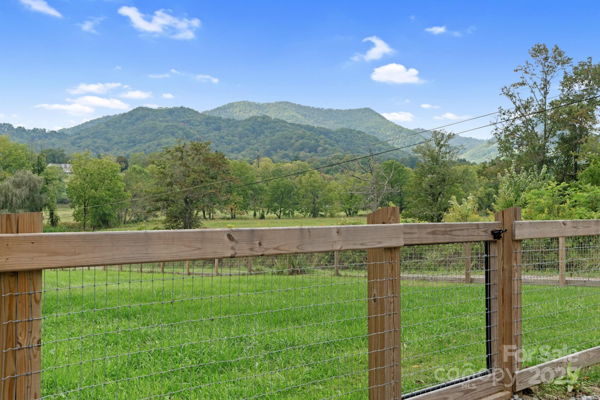 204 Mountain Spring Lane - Photo 43