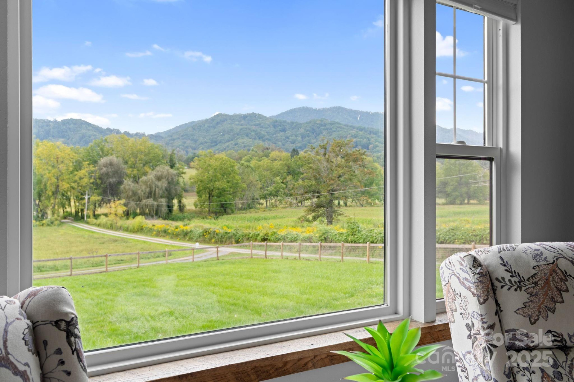 204 Mountain Spring Lane - Photo 6