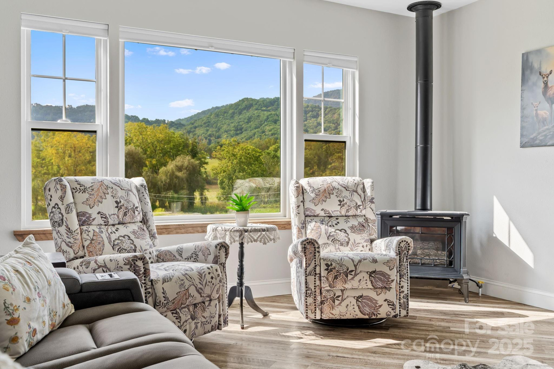 204 Mountain Spring Lane - Photo 7