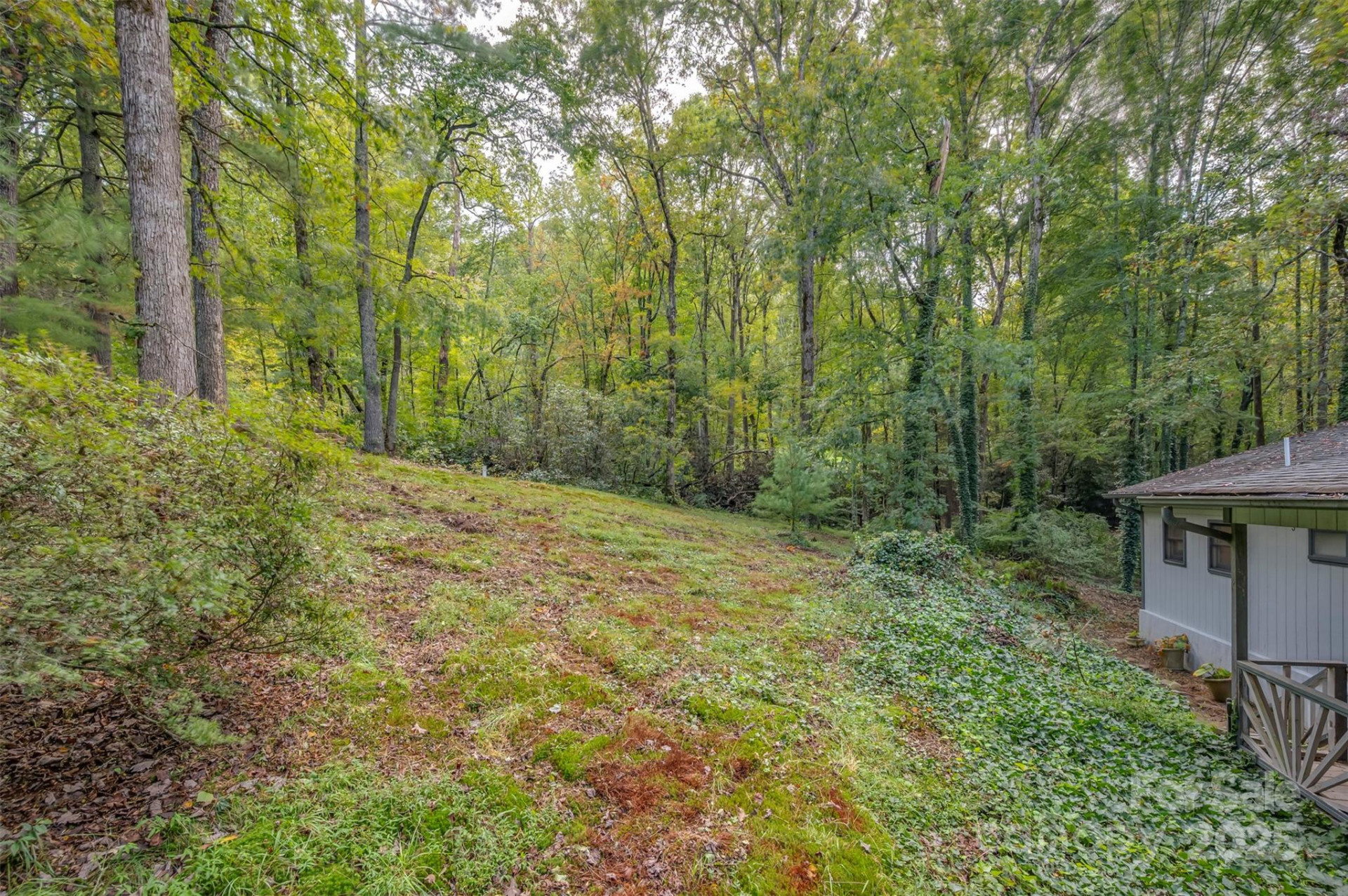 102 Windwood Hill Road - Photo 4