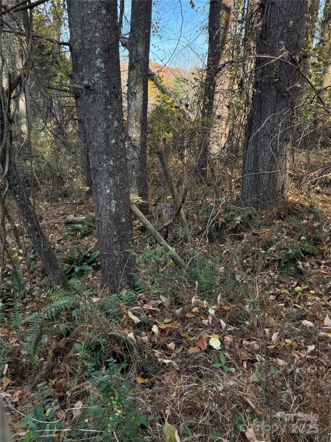99999 Macedonia Road - Photo 3