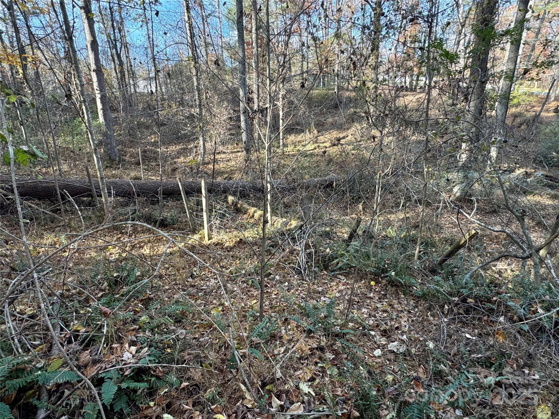 99999 Macedonia Road - Photo 4