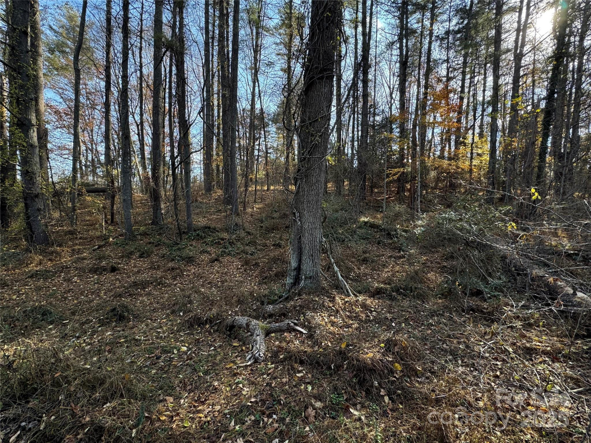 99999 Macedonia Road - Photo 6