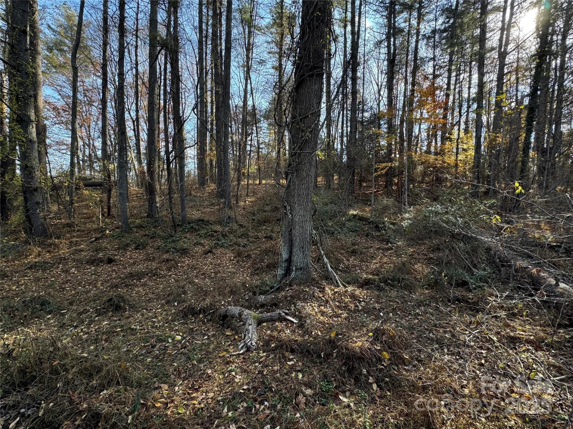 99999 Macedonia Road - Photo 6