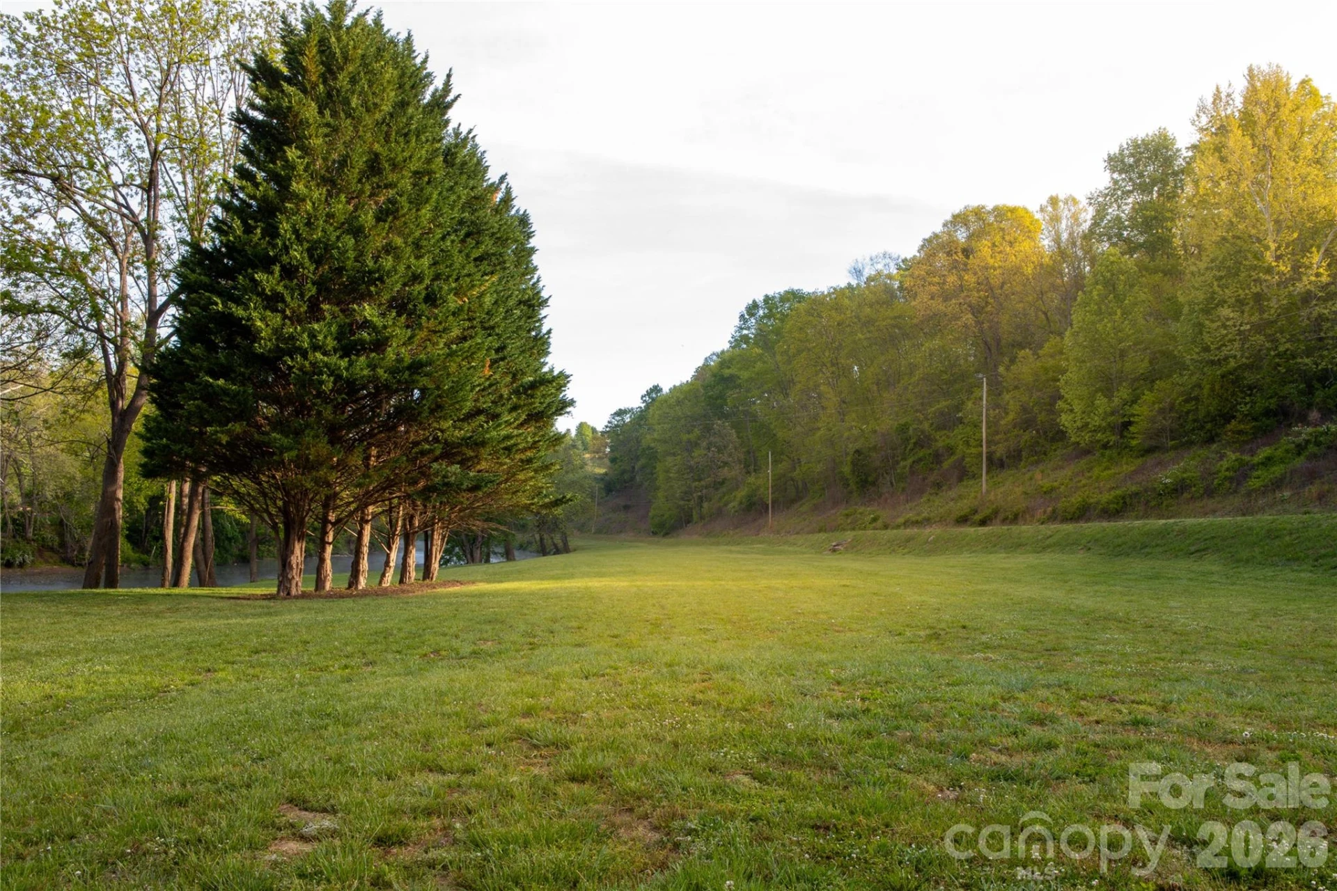 100 Kinloch Lane - Photo 41