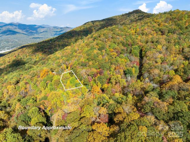 99999 Lytle Cove Road, Swannanoa, NC, 28778