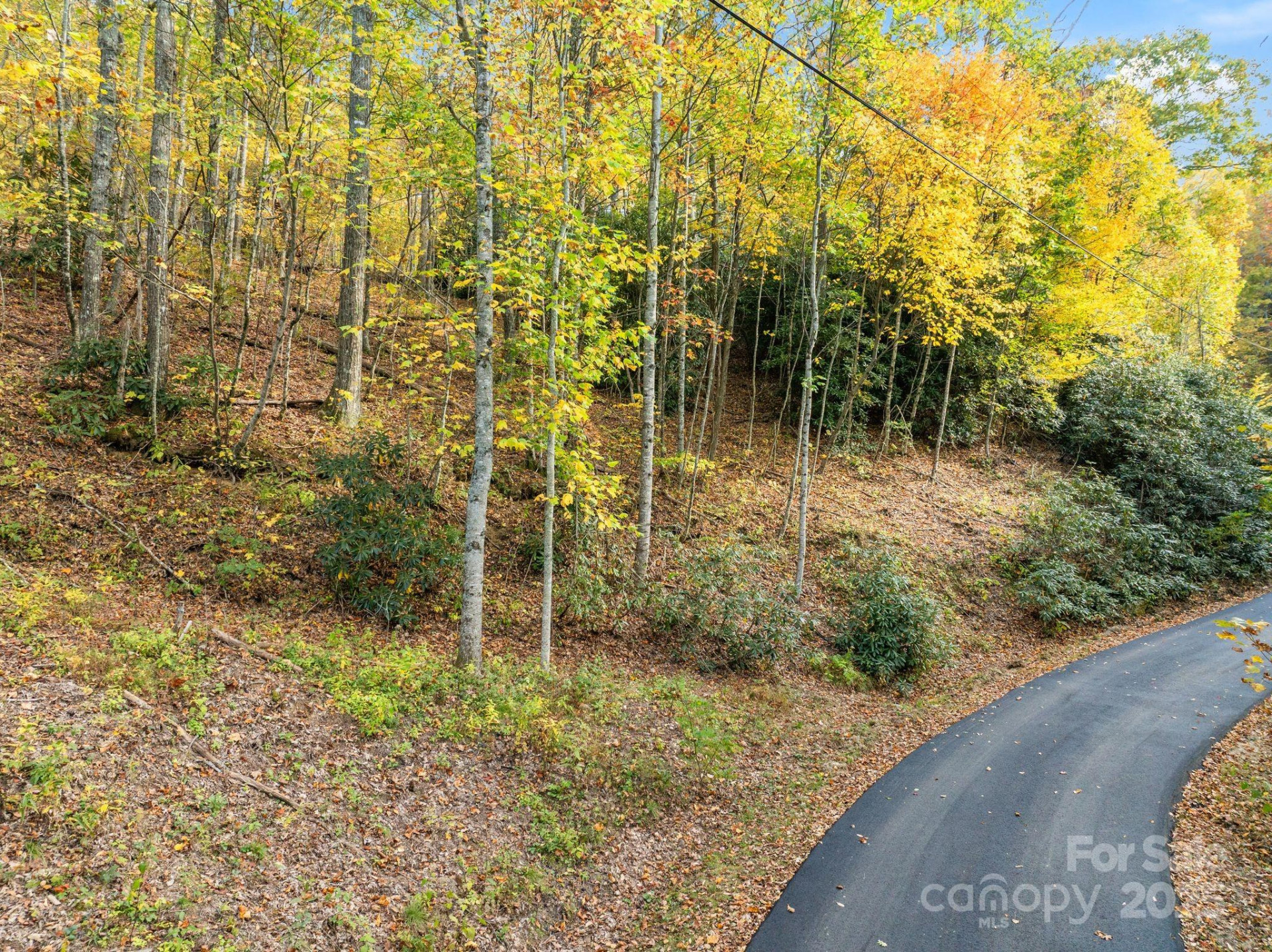 99999 Lytle Cove Road - Photo 11