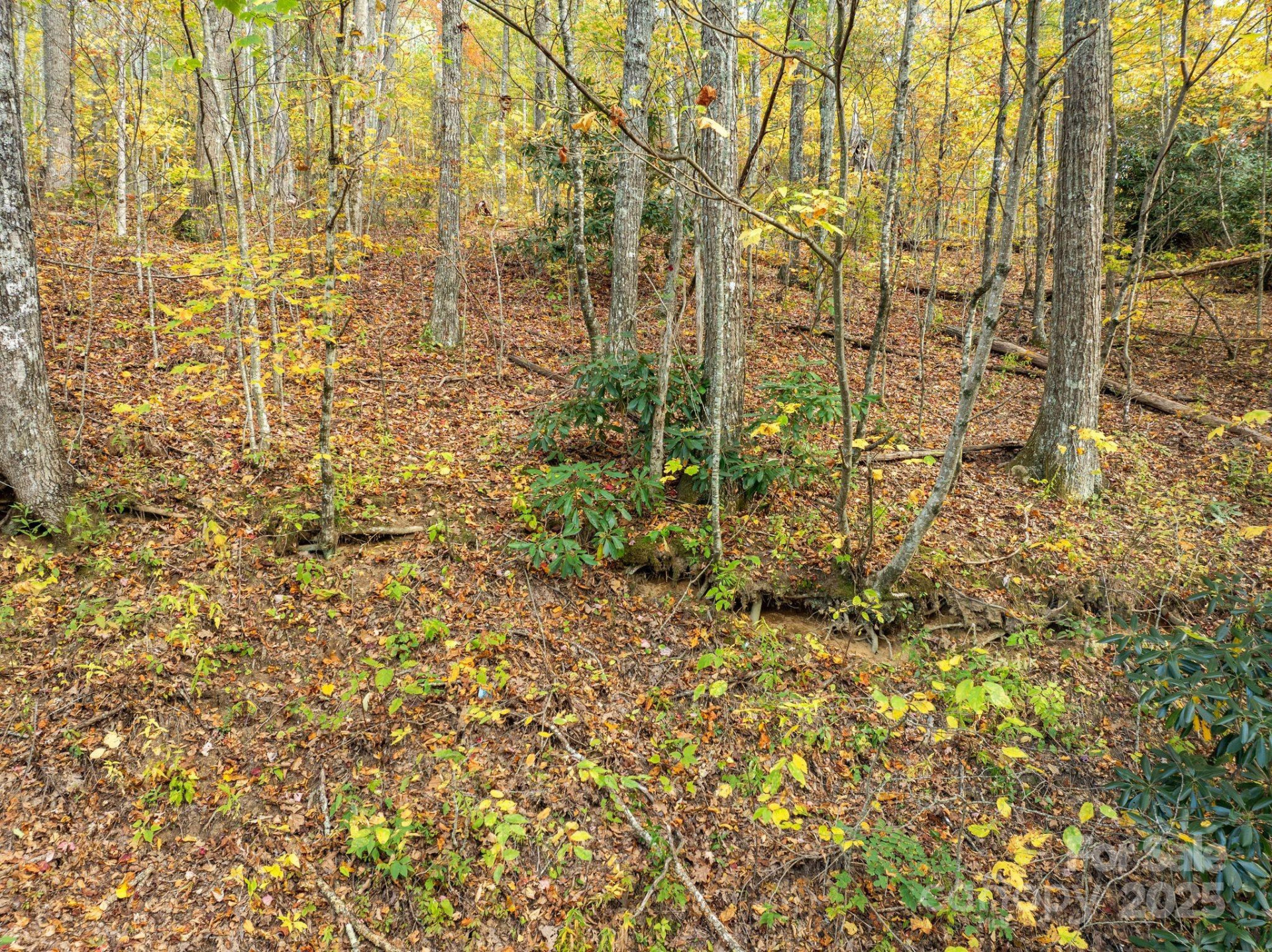 99999 Lytle Cove Road - Photo 12