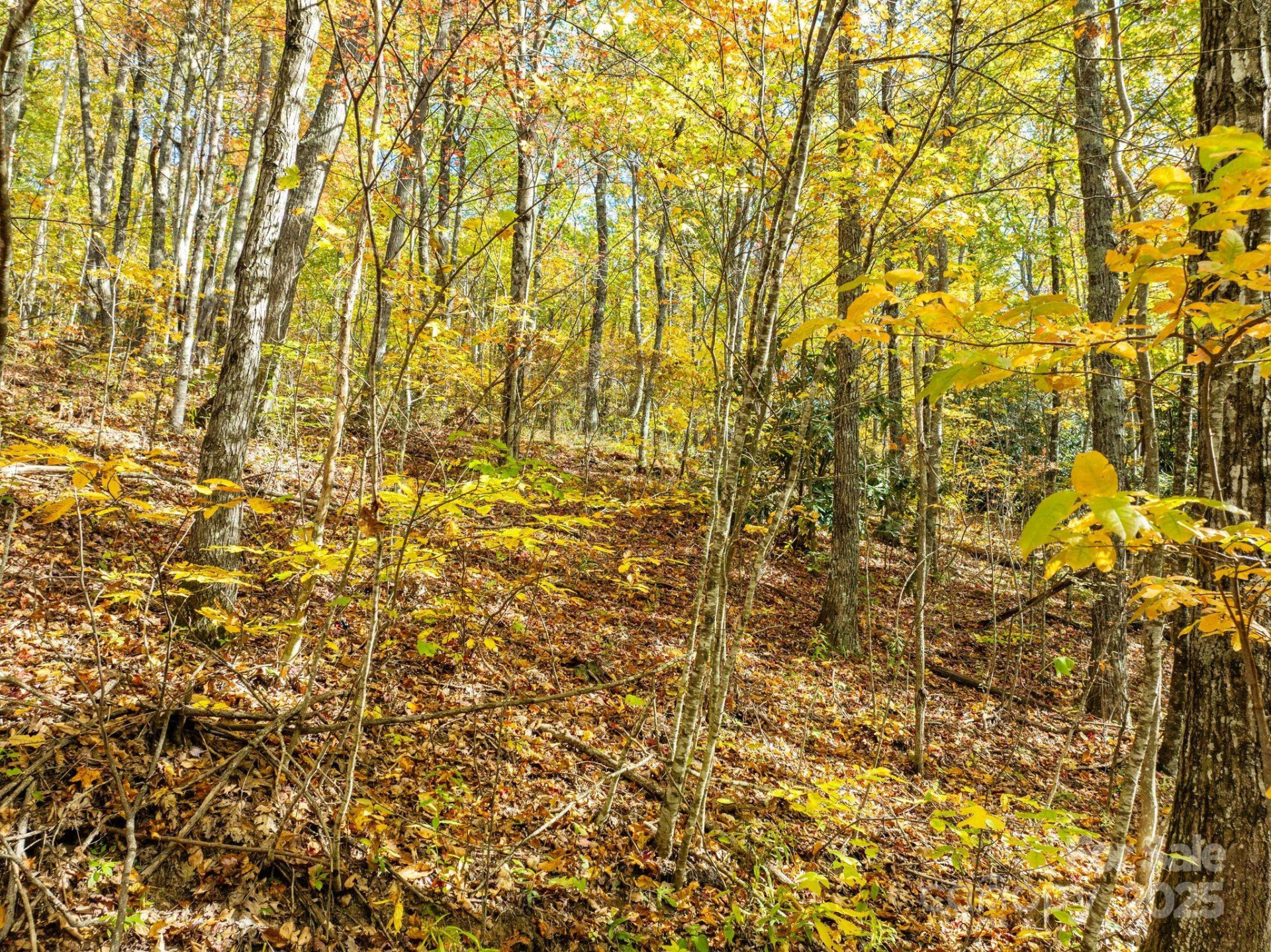 99999 Lytle Cove Road - Photo 13