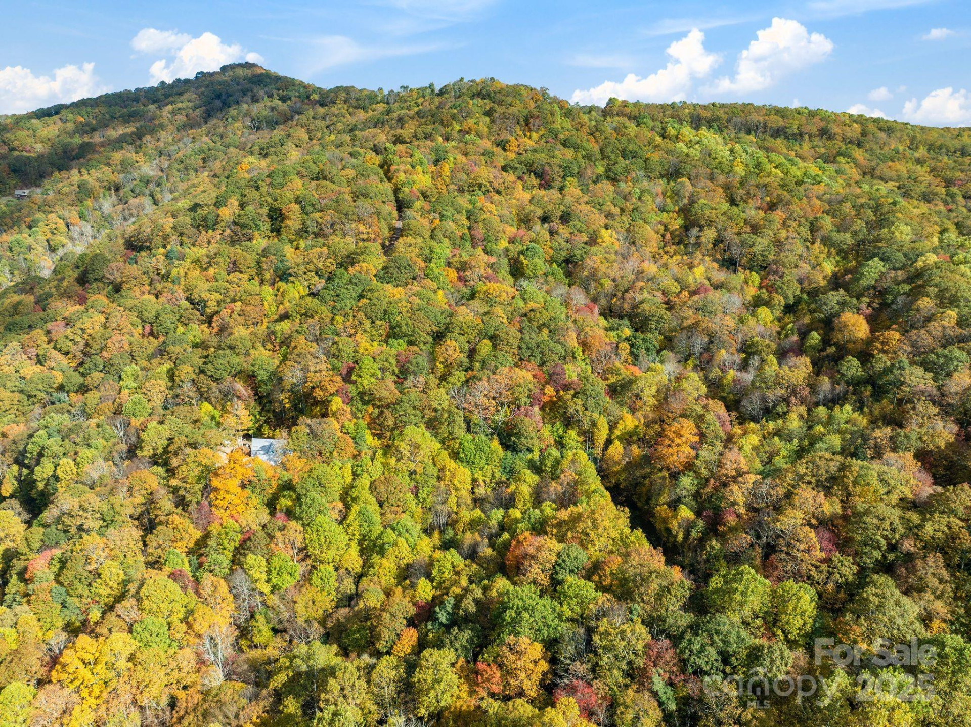 99999 Lytle Cove Road - Photo 16