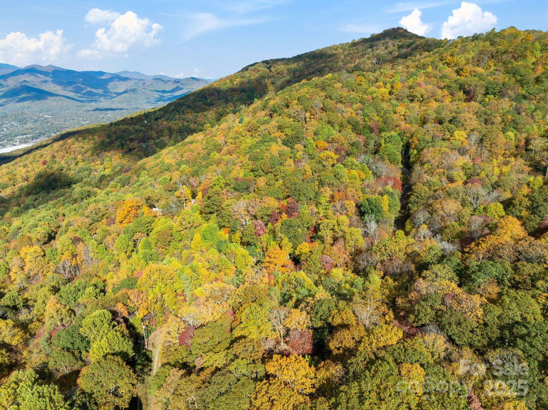 99999 Lytle Cove Road - Photo 17