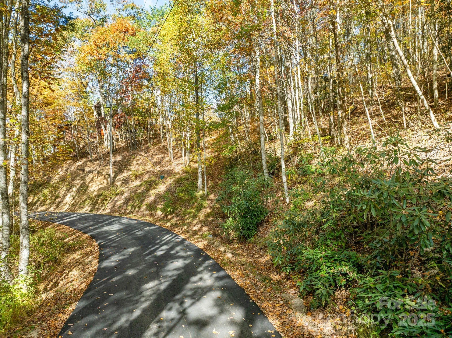 99999 Lytle Cove Road - Photo 3