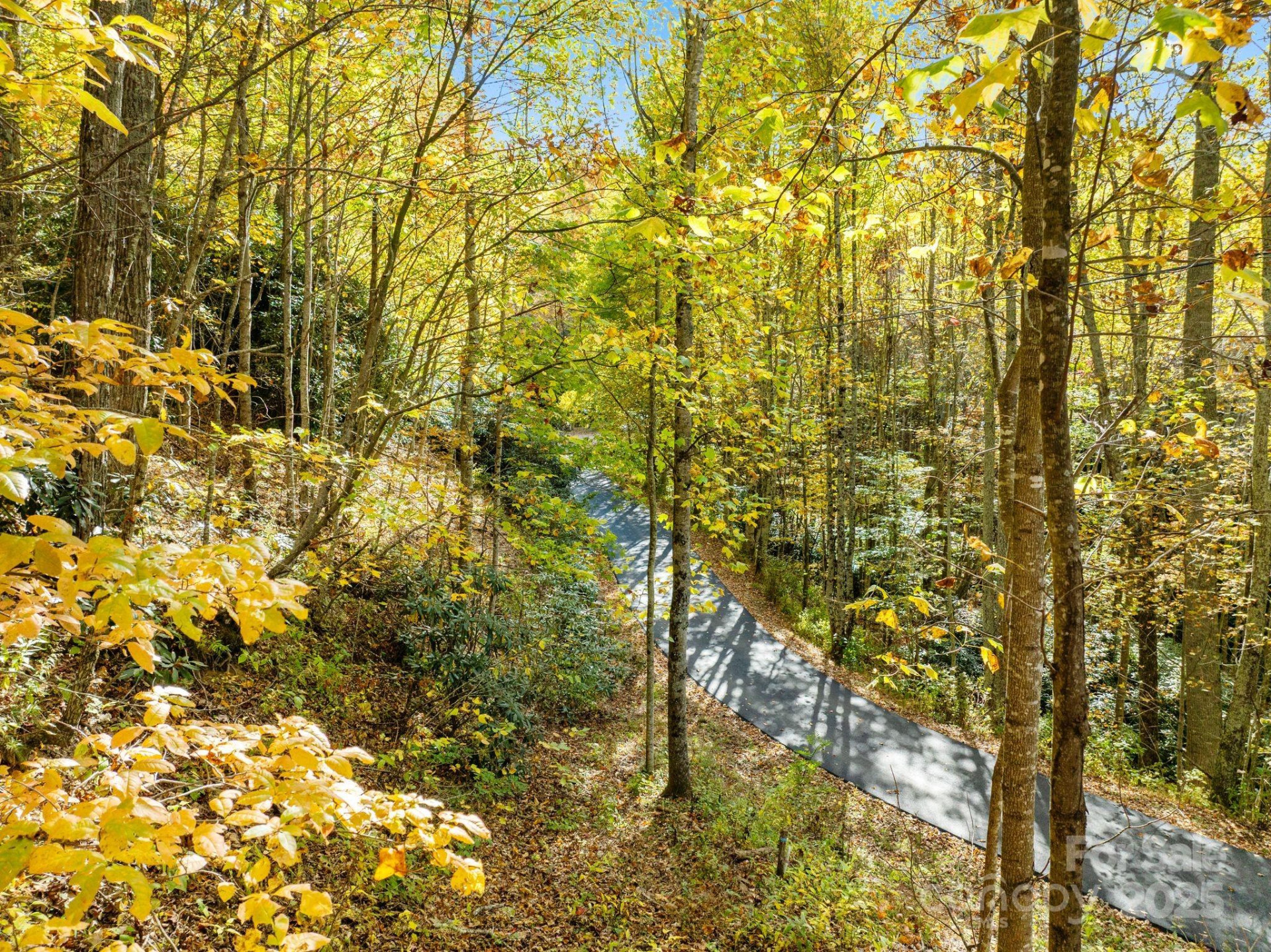 99999 Lytle Cove Road - Photo 4