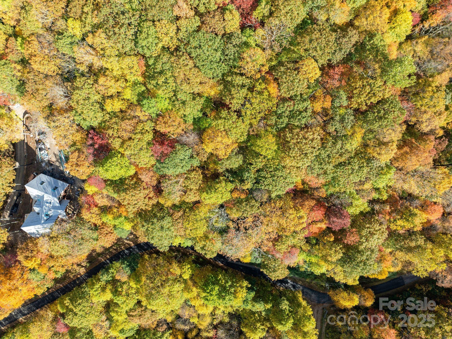 99999 Lytle Cove Road - Photo 5