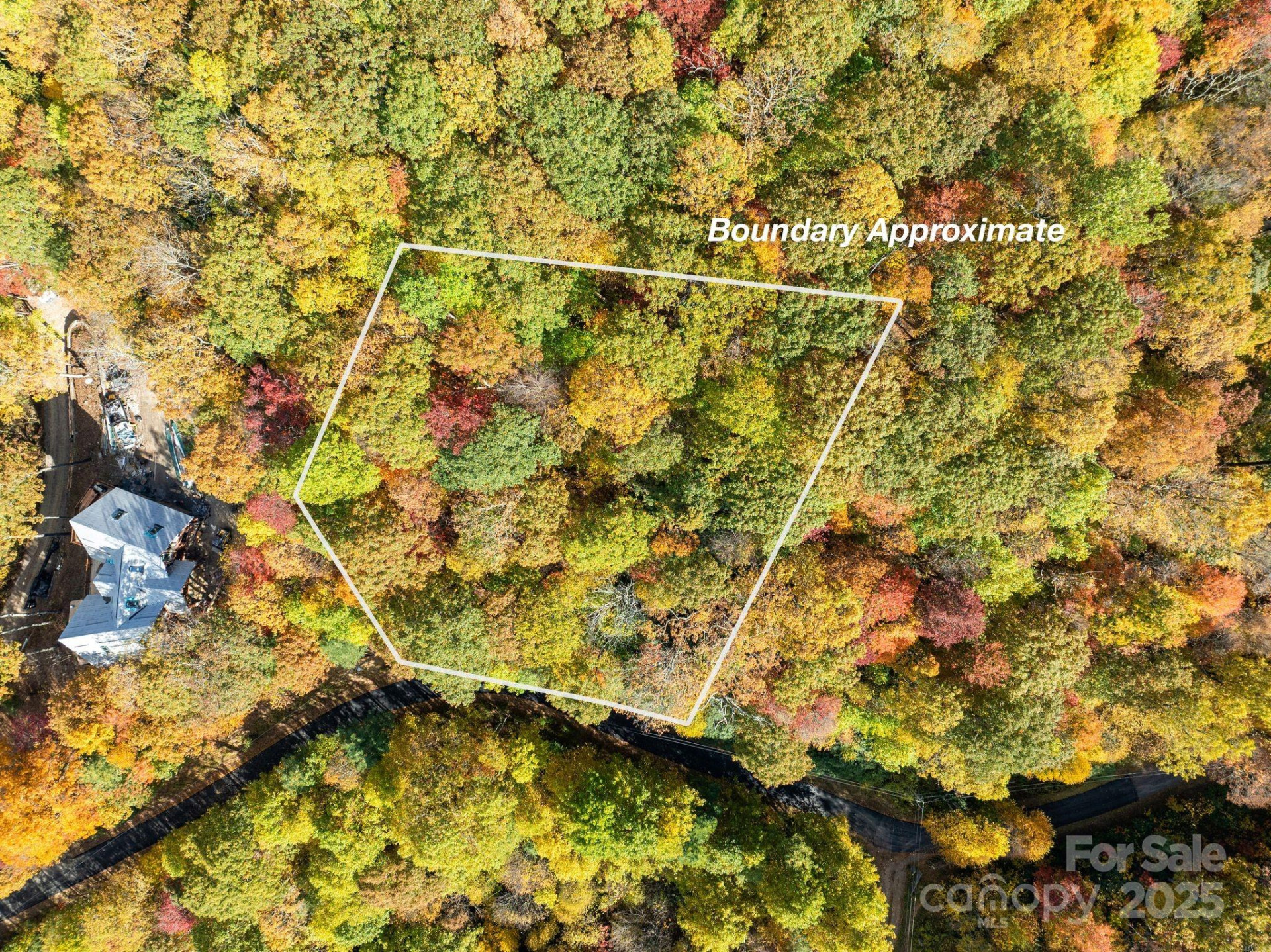 99999 Lytle Cove Road - Photo 6