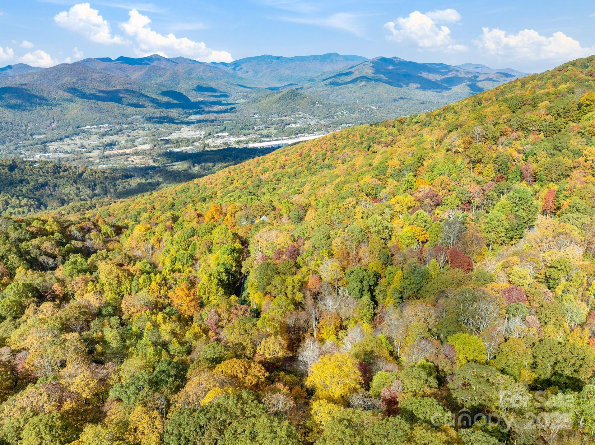 99999 Lytle Cove Road - Photo 8