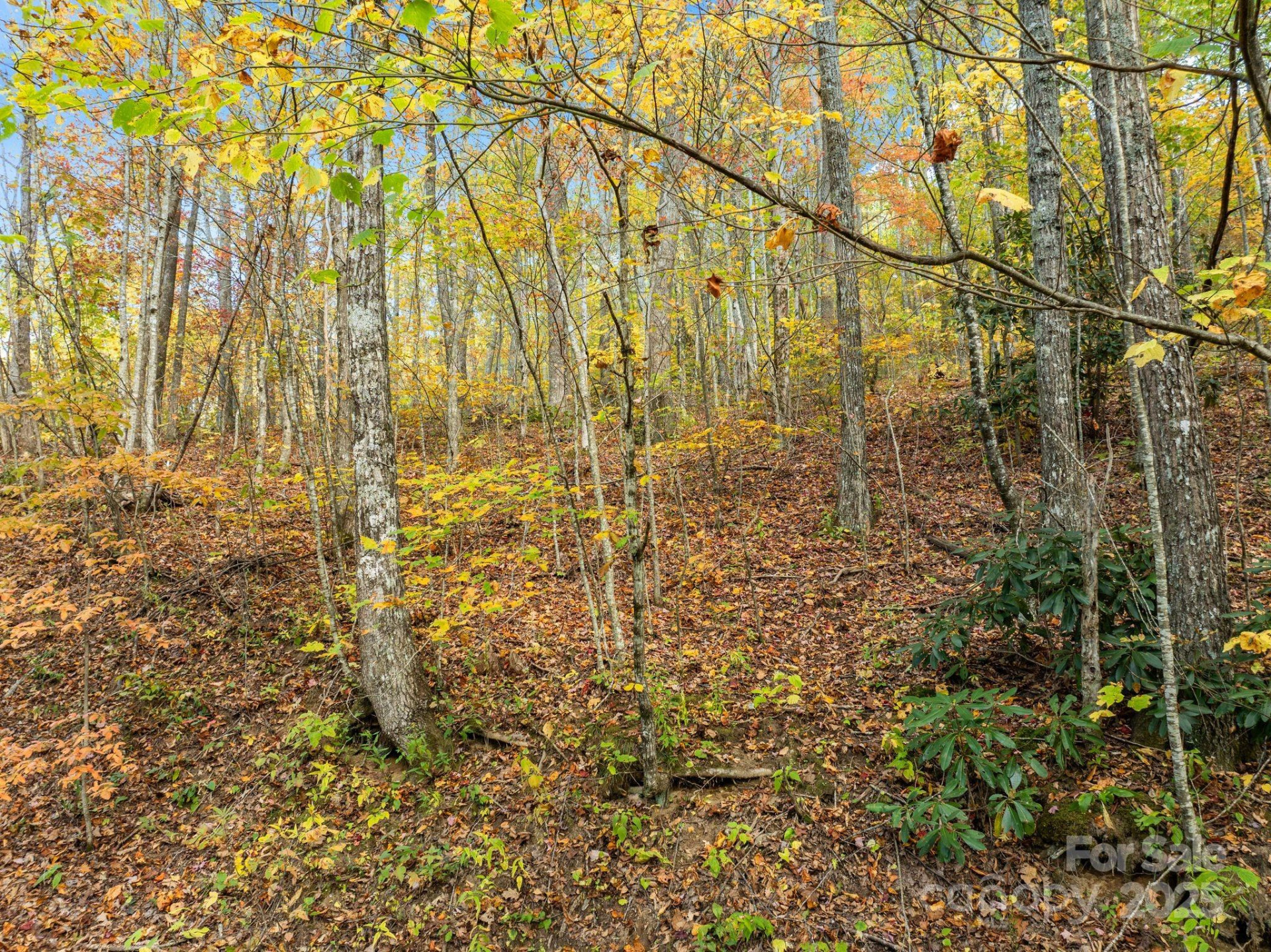 99999 Lytle Cove Road - Photo 9