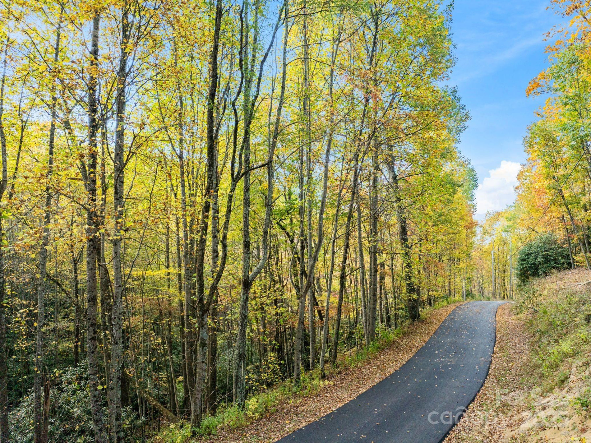 99999 Lytle Cove Road - Photo 10