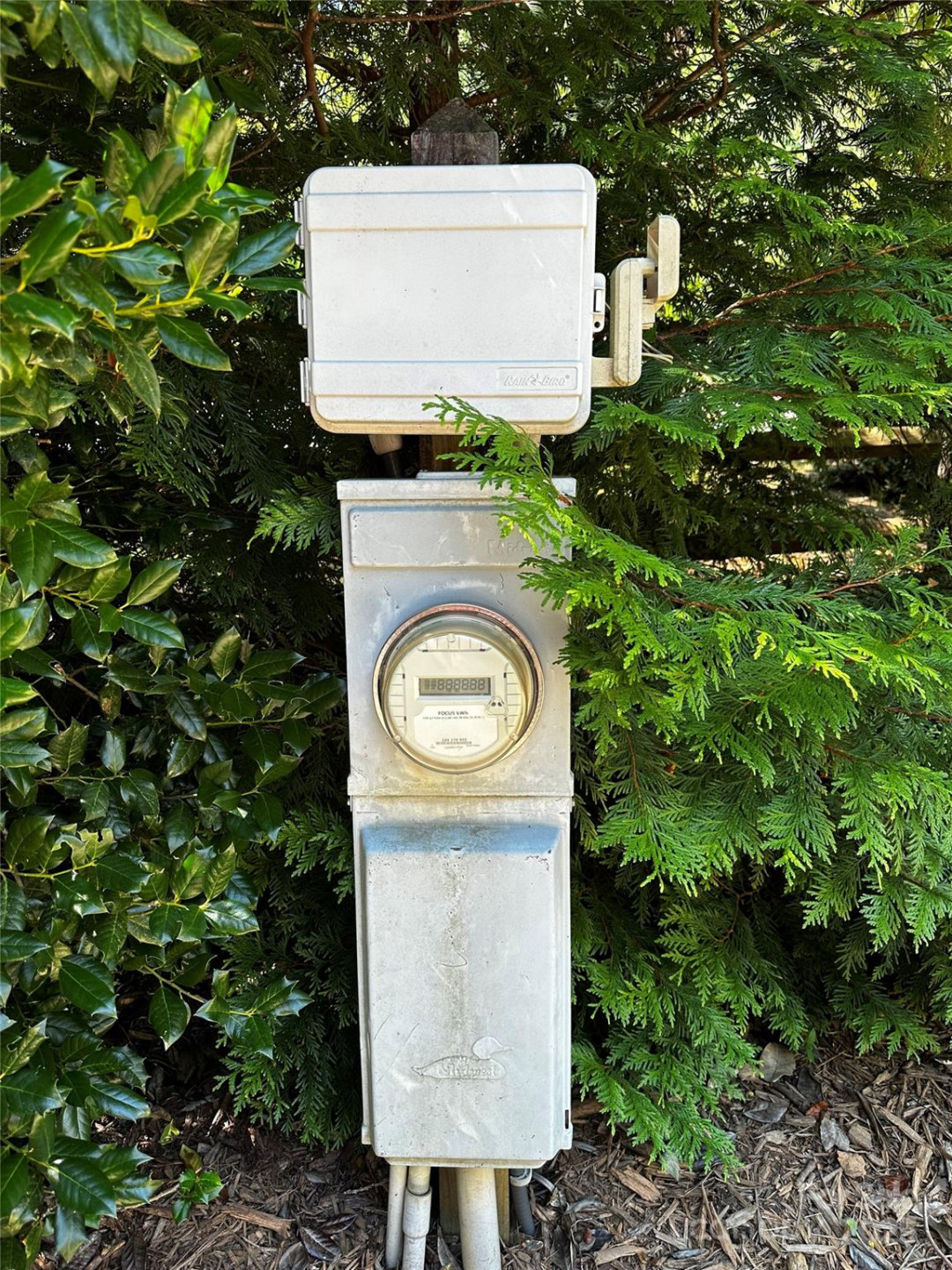 133 Cornell Circle - Photo 19