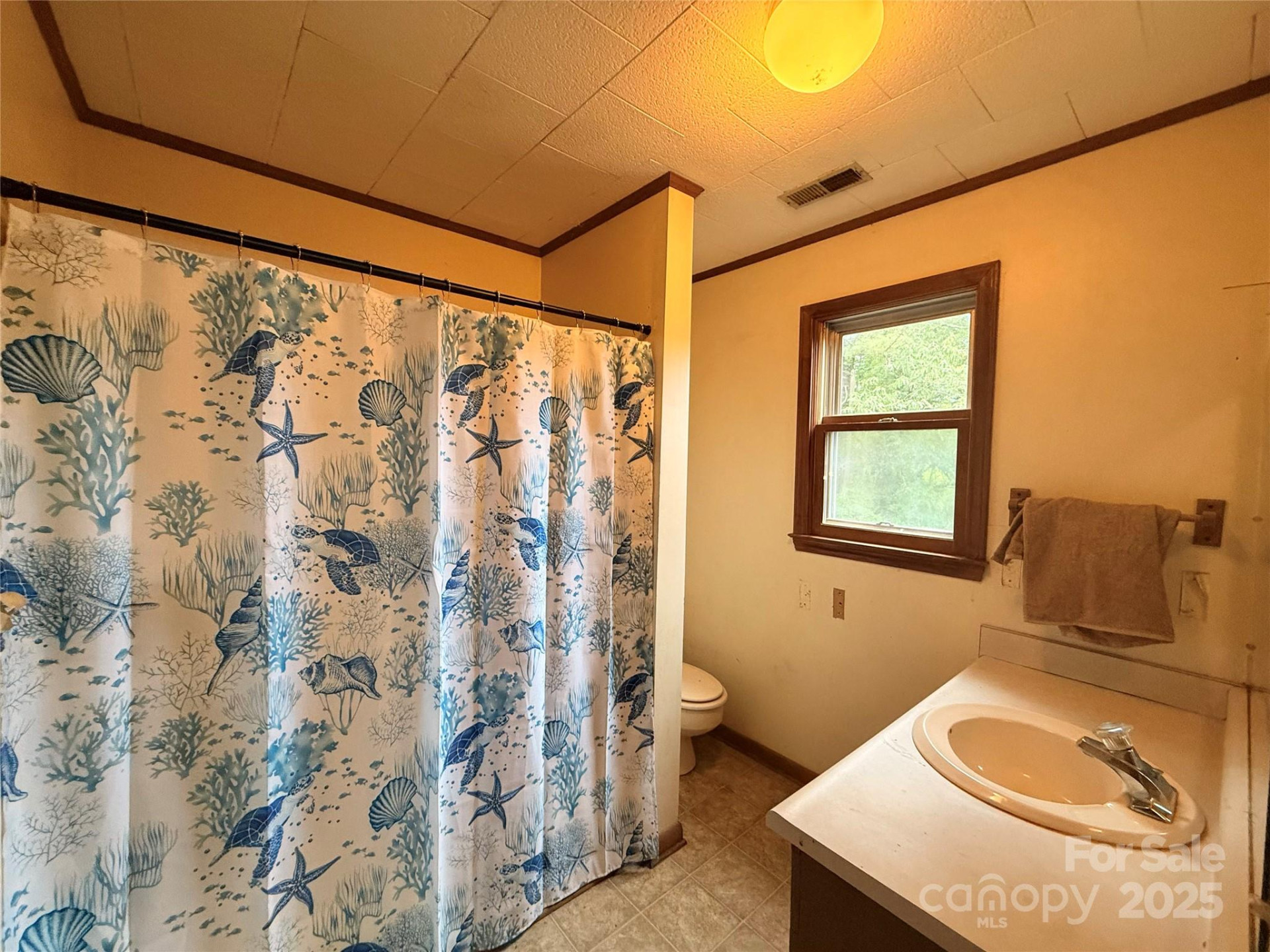 204 Bonaire Lane - Photo 19