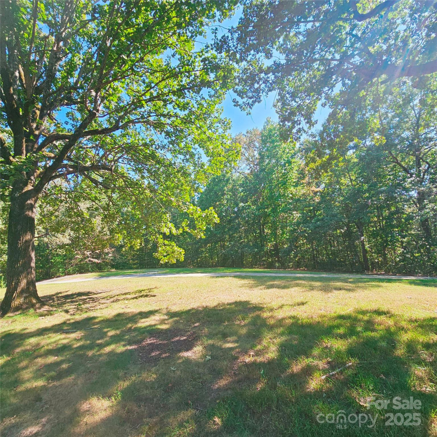 204 Bonaire Lane - Photo 4