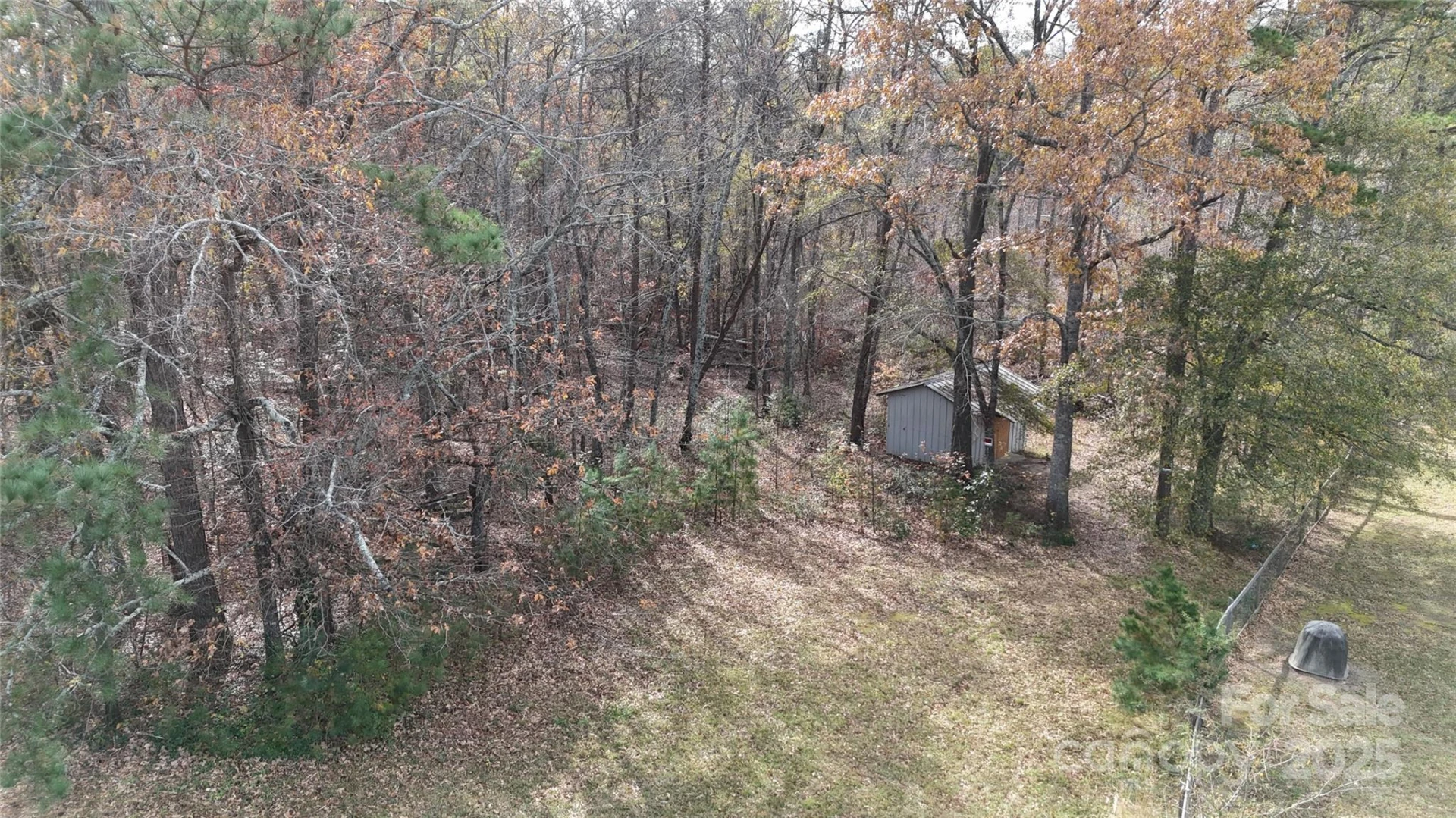 204 Bonaire Lane - Photo 6