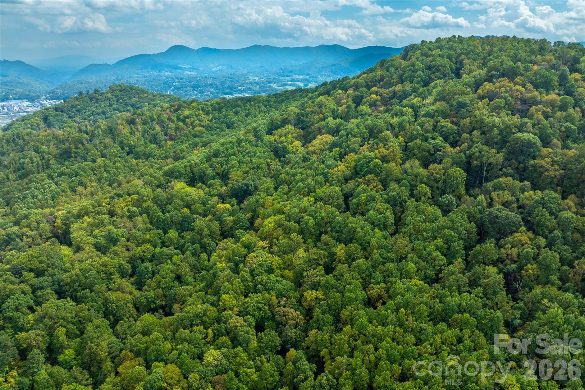 99999 Carolina Boulevard - Photo 5