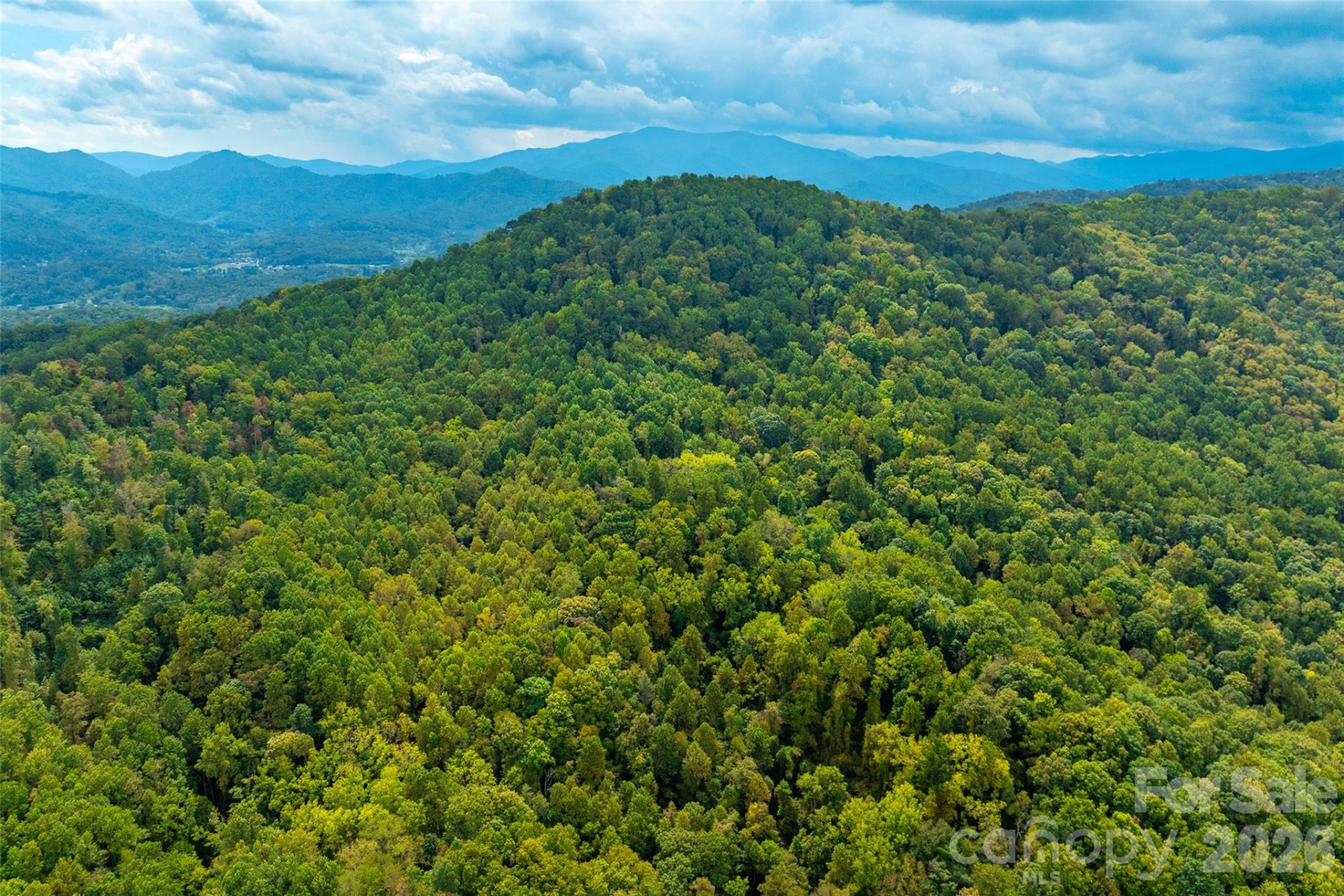 99999 Carolina Boulevard - Photo 6