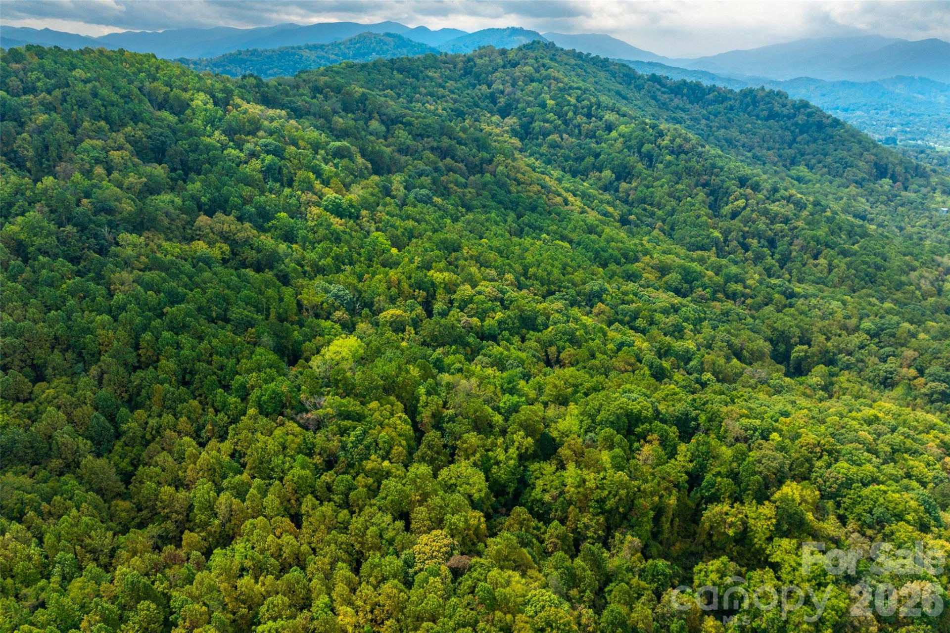 99999 Carolina Boulevard - Photo 7