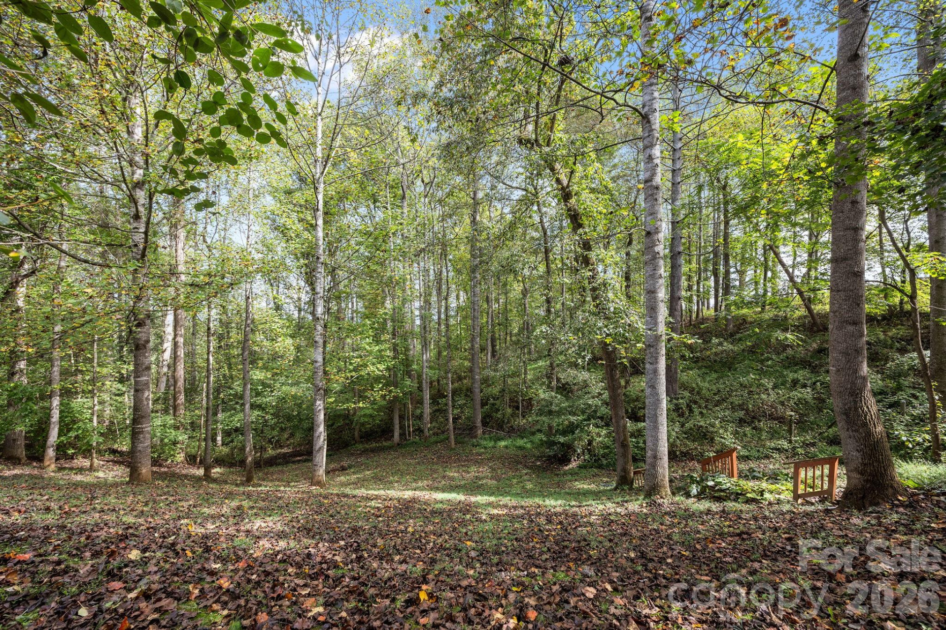 40 Mountain Shadows Drive - Photo 31