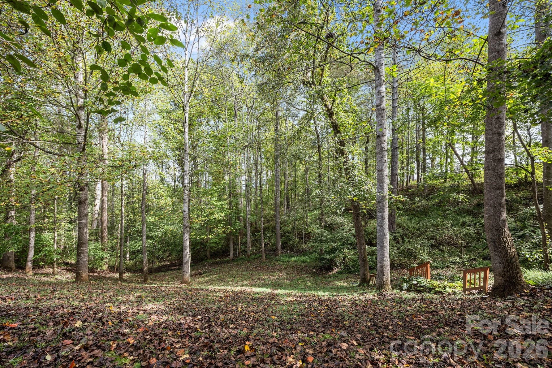 40 Mountain Shadows Drive - Photo 35