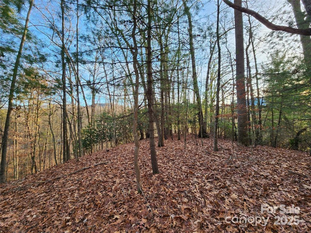 433 Deneen Road - Photo 21