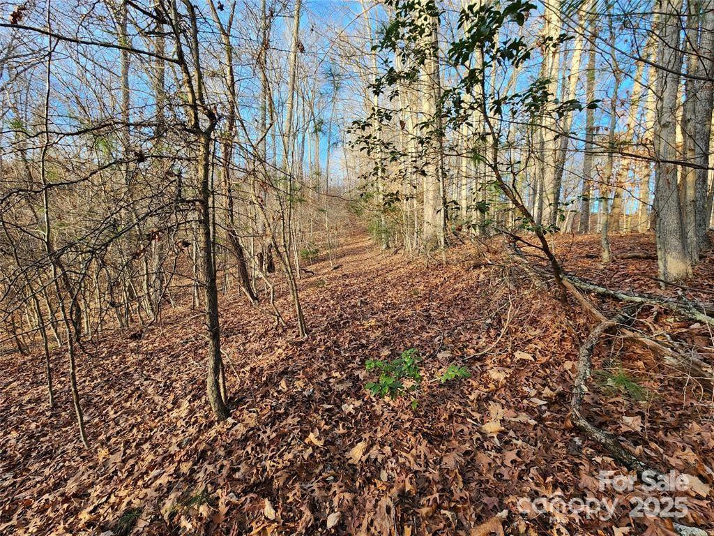 433 Deneen Road - Photo 22