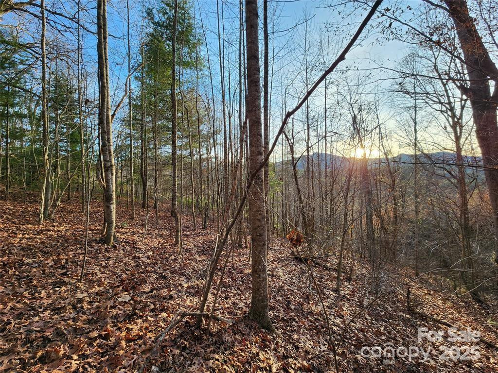 433 Deneen Road - Photo 23