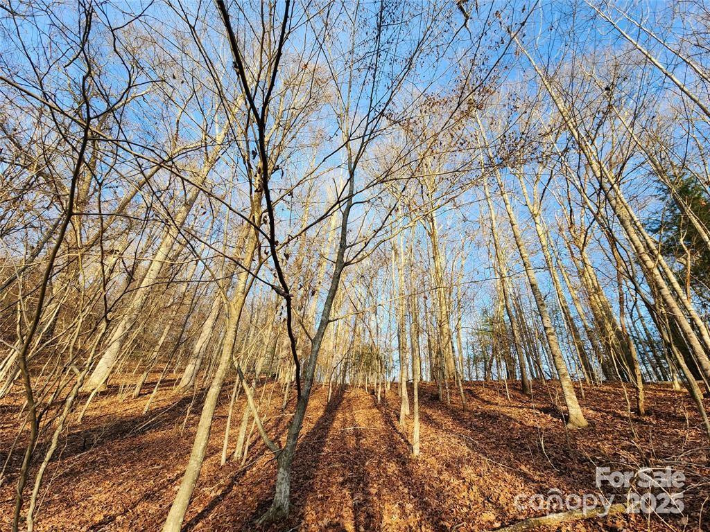 433 Deneen Road - Photo 26