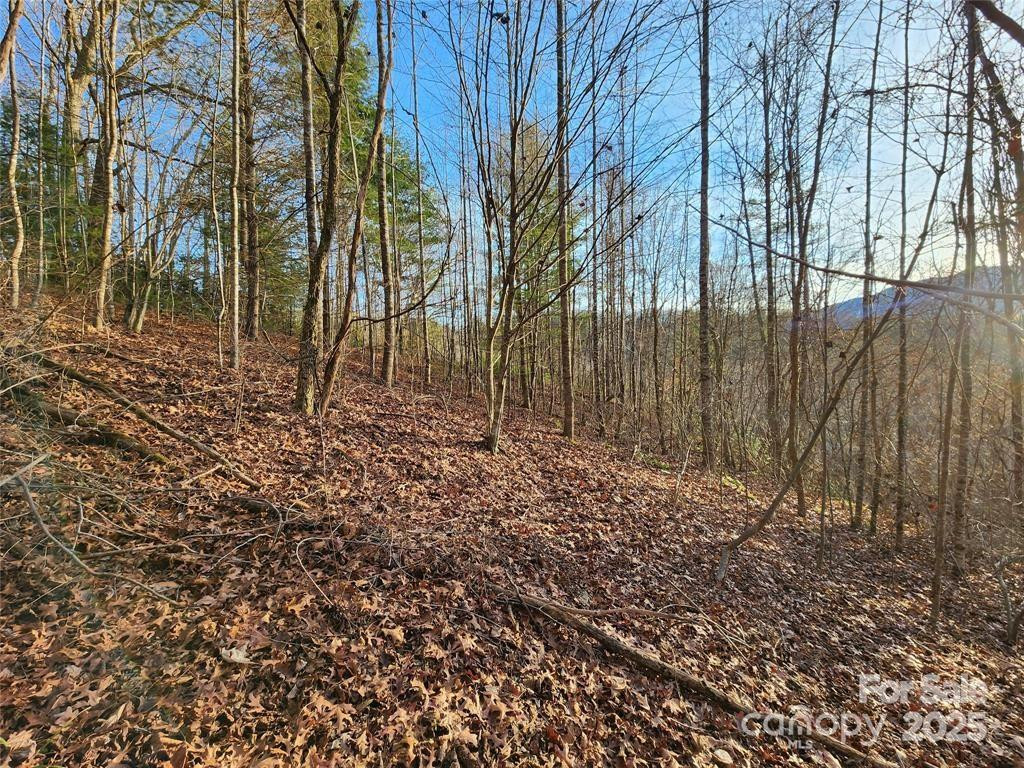 433 Deneen Road - Photo 27