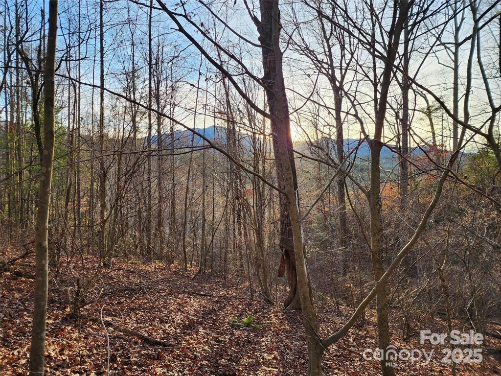 433 Deneen Road - Photo 28
