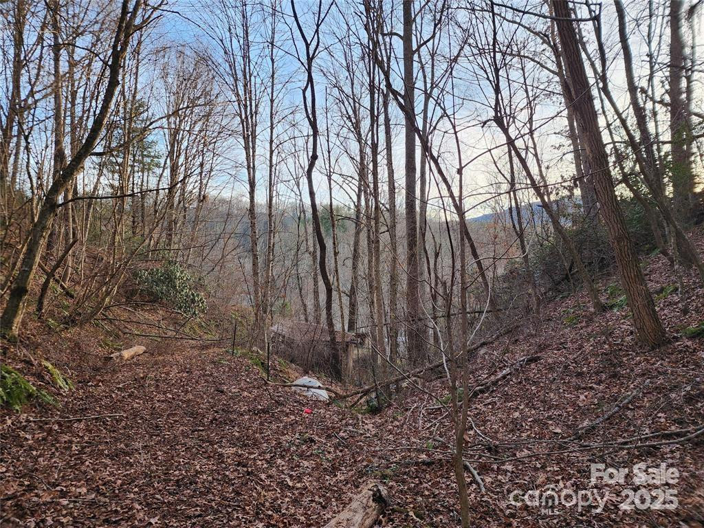 433 Deneen Road - Photo 31