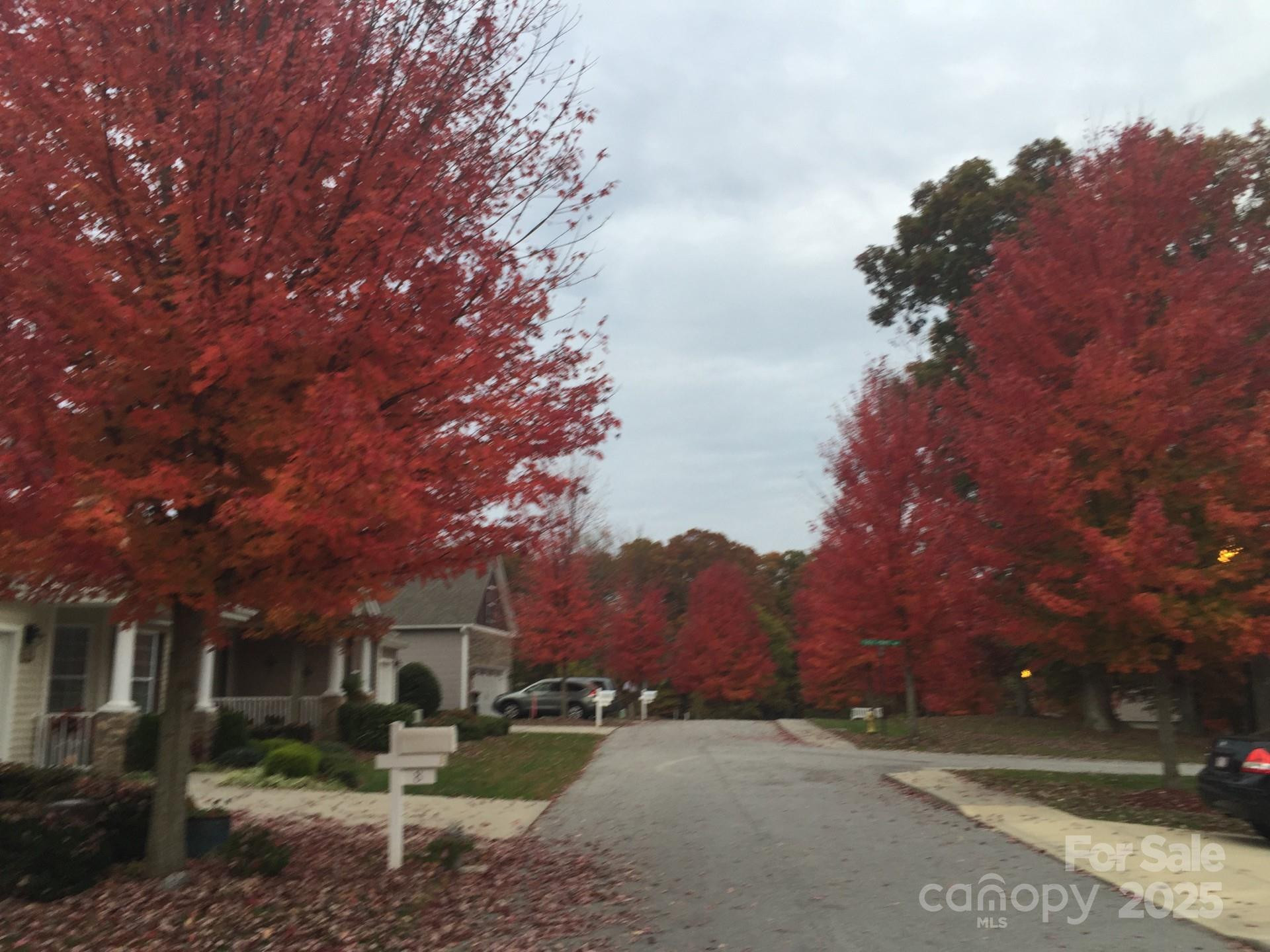 18 Eagle Pointe Way - Photo 5