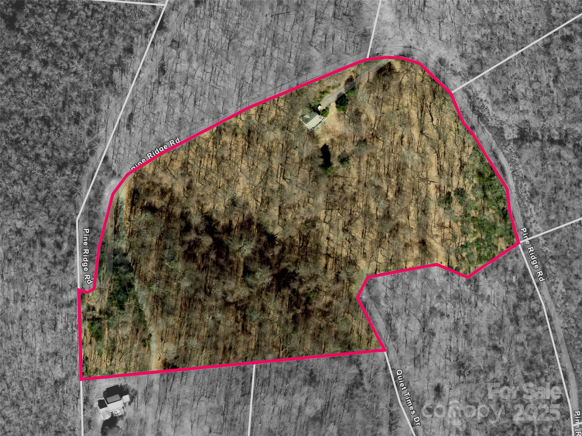 1299 Pine Ridge Road - Photo 30