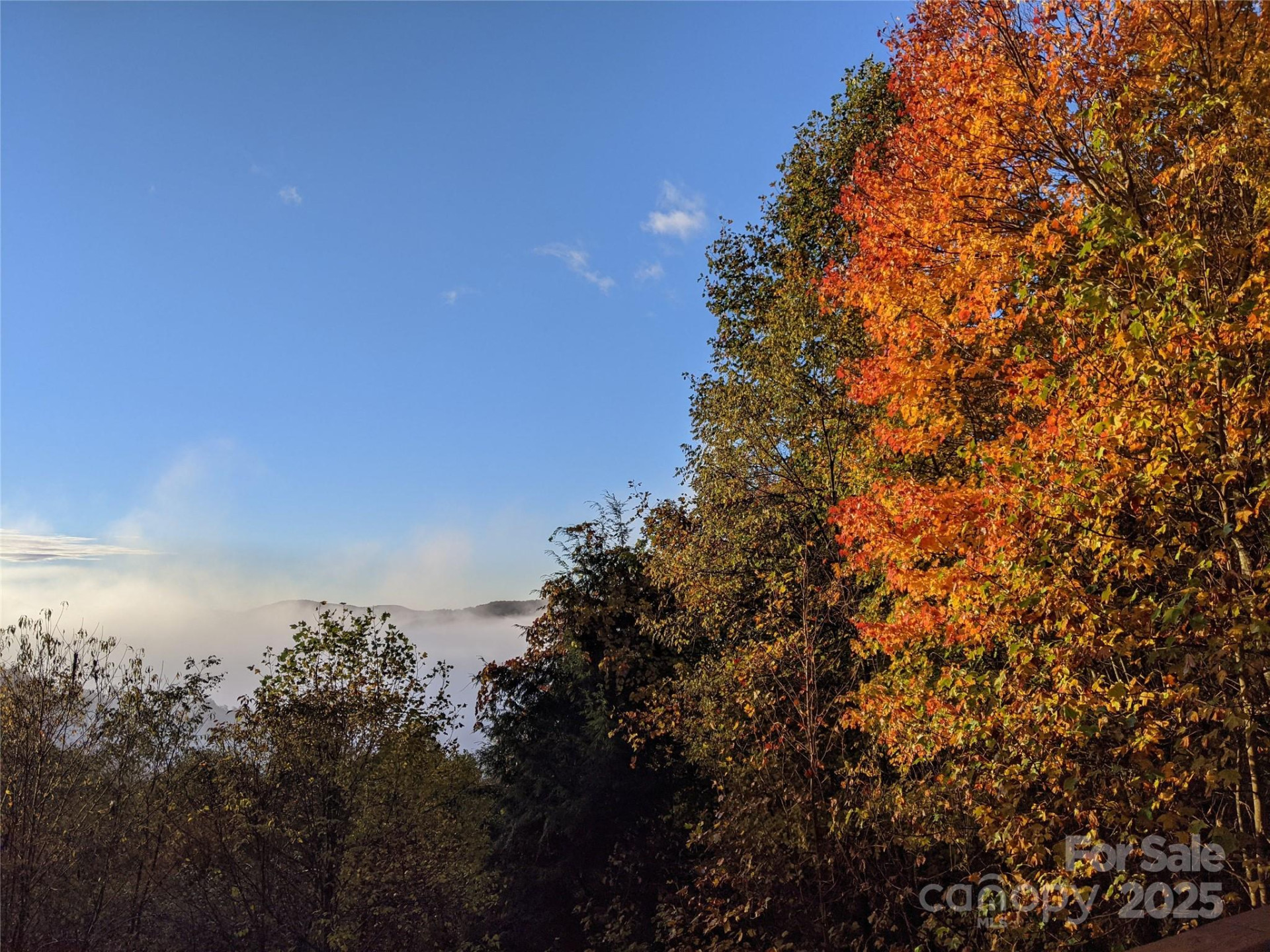 1299 Pine Ridge Road - Photo 32